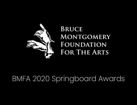 BMFA Springboard 2020